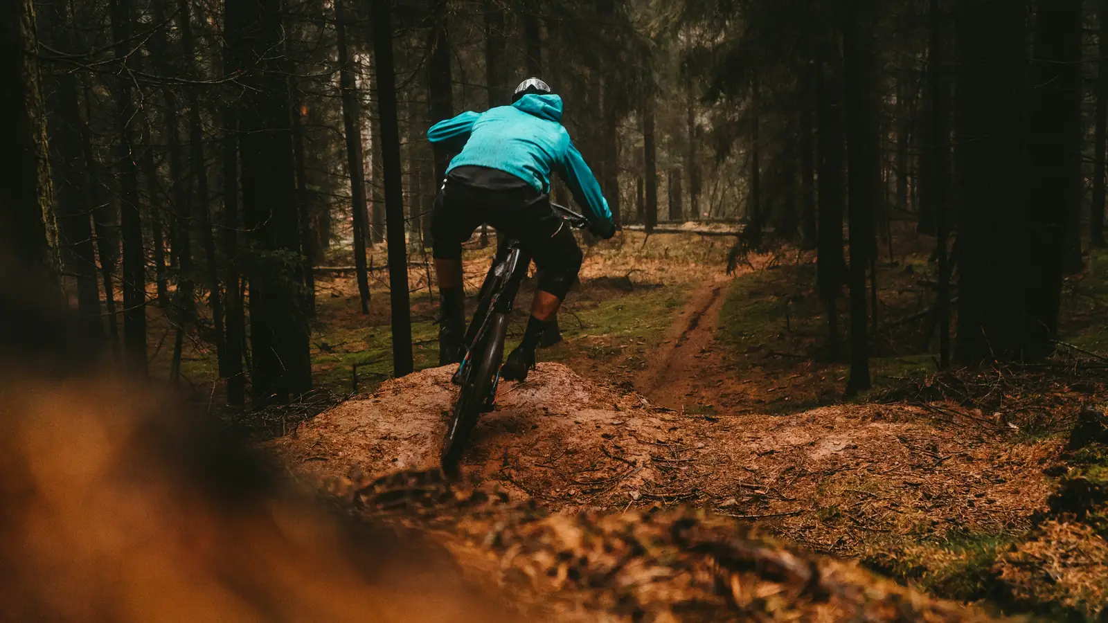 Mountainbikecyklist på en stig i höstskogen